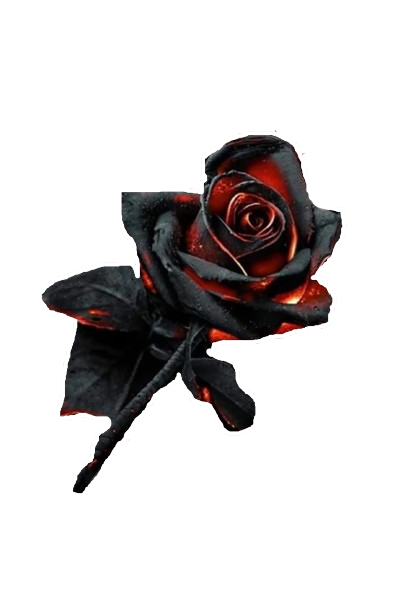 Black Rose Studios